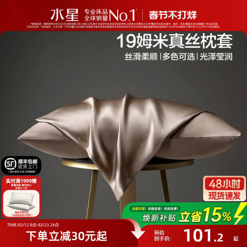 真丝枕套桑蚕丝绸枕巾单双人枕头套对装信封式枕套单人