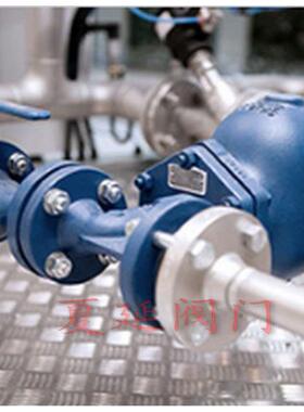 SpiraxSarco斯派莎克FT43-14 蒸汽法兰疏水阀、DN15