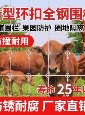 全钢镀锌养殖网铁丝网围栏防护网护栏网牛栏网养牛养羊果园围栏网