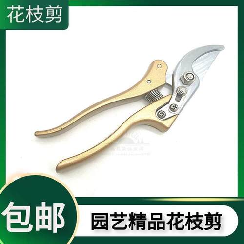 包邮修枝剪刀SK2粗枝剪果树园林园艺剪花枝剪刀家用省力树枝剪子