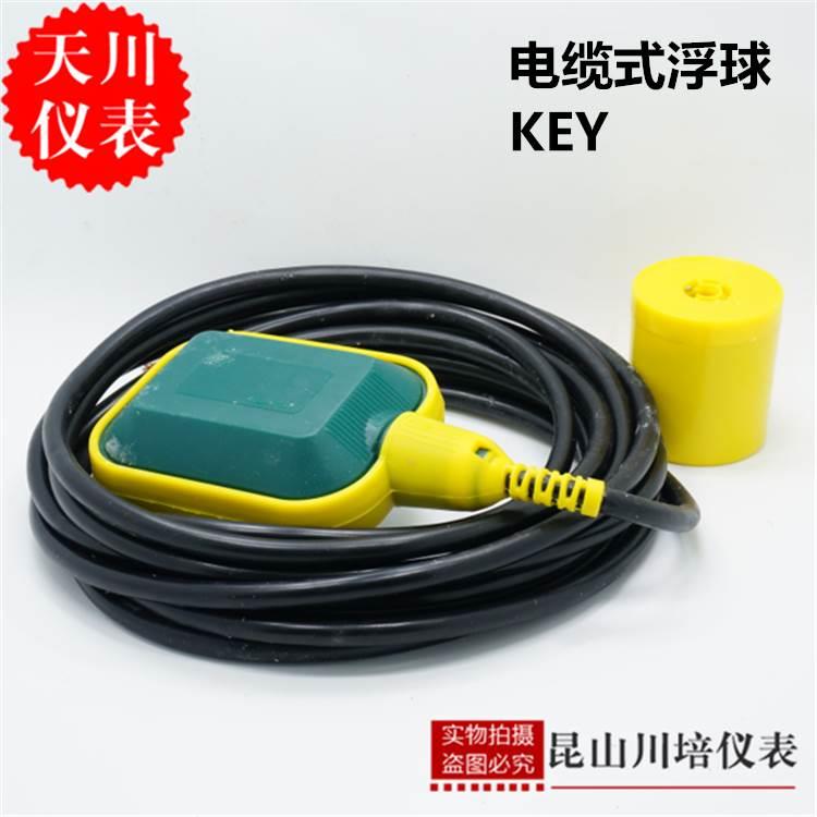 电缆式浮球水箱水泵液位开关浮球阀雪松仪表扁浮球KEY-5液位控制