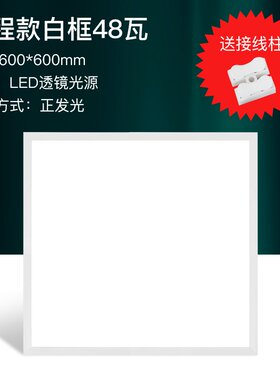 新新品集成吊顶led格板灯天x花铝扣板灯厨房卫生间走U工嵌入式廊