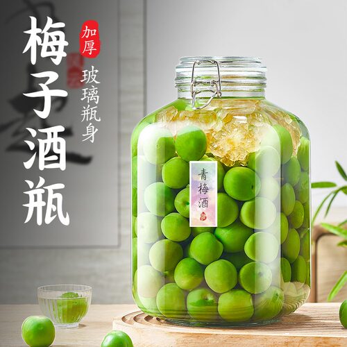 青梅泡酒瓶大容量酿酒容器