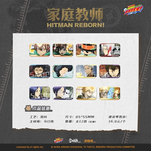 另物萌DeNA《家庭教师reborn》场面写方形马口铁徽章 另物KOILAND