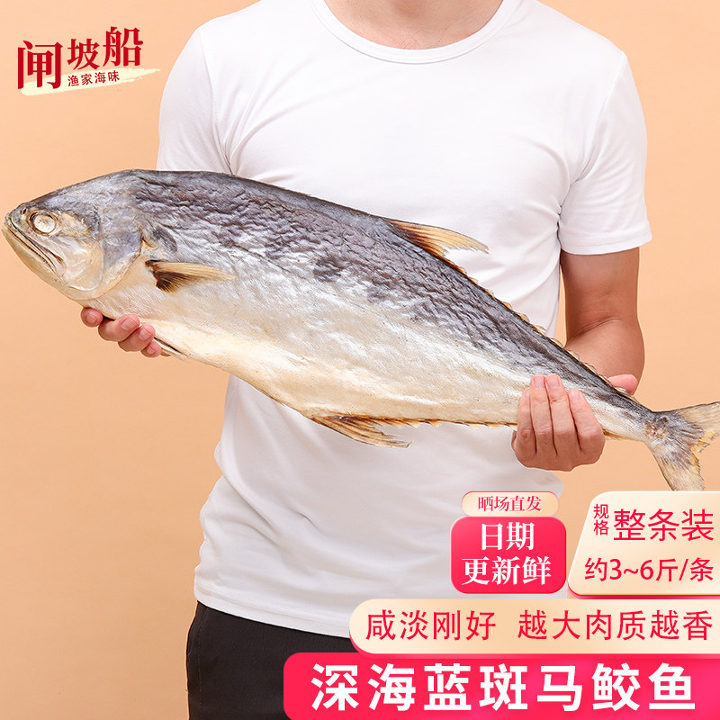 足干深海斑点马鲛鱼水产干货腌制咸鱼干大号鲅鱼干海鱼干渔家自晒