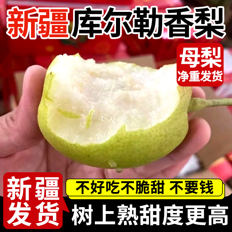 新疆库尔勒香梨全母梨