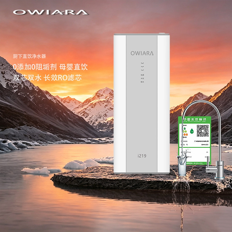 OWIARA德国家用直饮RO反渗透纯水机大流量厨下式净水器自来水过滤