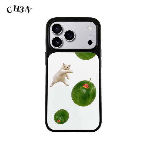 CH3N·功夫西瓜猫适用苹果17promax/16手机壳15小众iPhone防摔14软边13个性简约Air防摔手机壳黑框创意保护壳