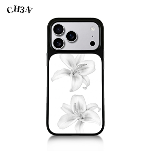 CH3N·白百合适用苹果17promax/16手机壳15欧美iPhone防摔14软边13个性简约Air防摔手机壳黑框创意保护壳