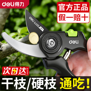 得力剪枝剪刀园林花艺修剪树枝剪刀果树剪刀粗大花剪园艺剪子工具
