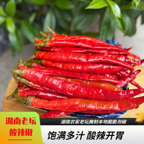 [湖南老坛酸辣椒500g]新鲜红泡椒味道鲜美本地红辣椒酸辣好吃