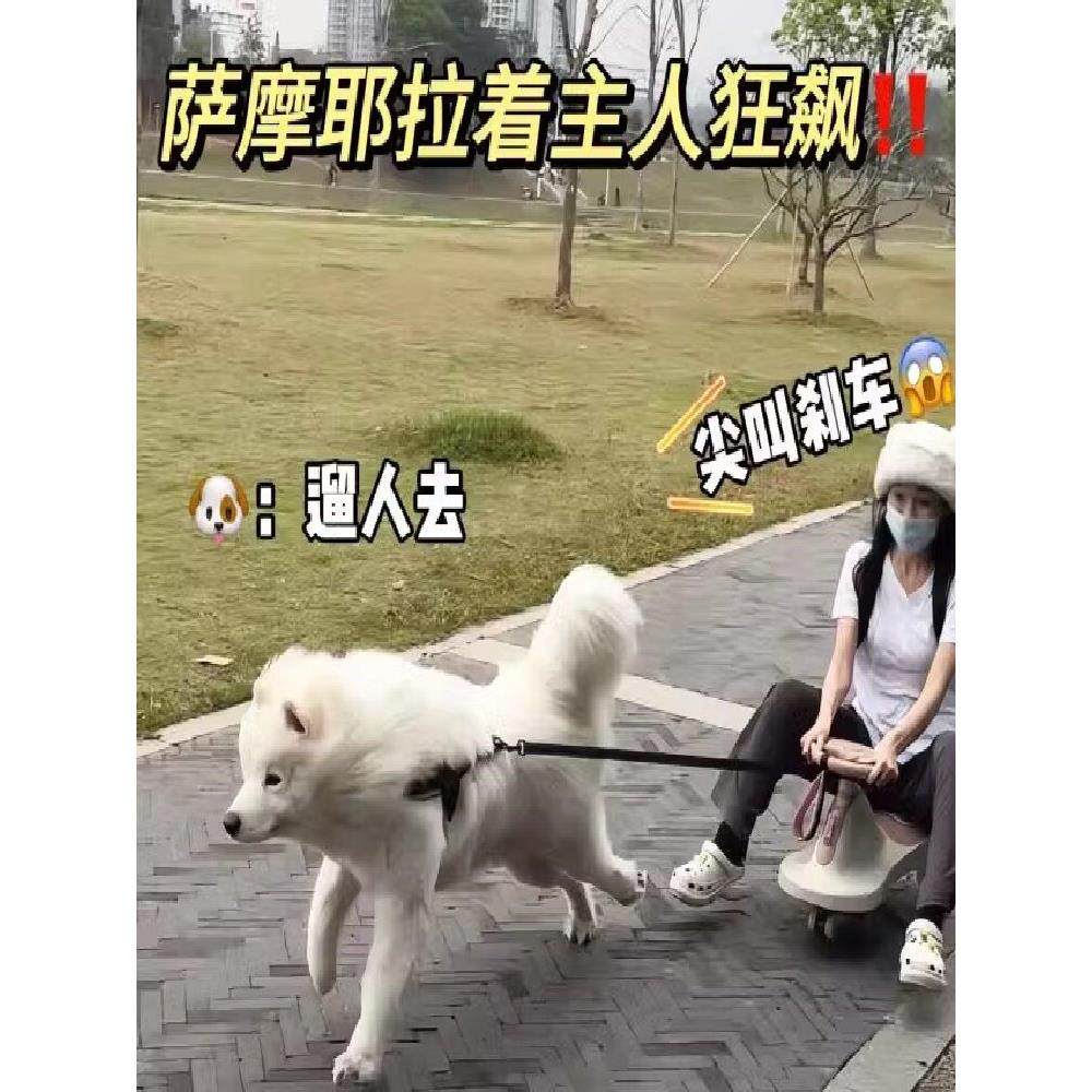 狗狗专用遛狗的扭扭车萨摩耶边牧大型犬自嗨神器防侧翻可遛娃遛车