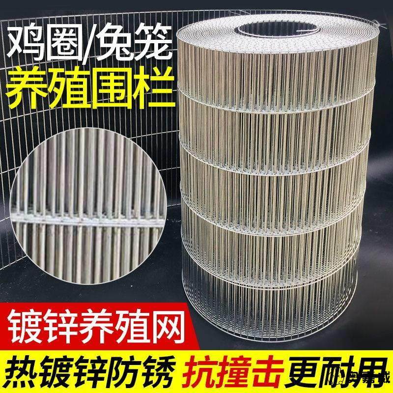 鸟笼网片装组装 小孔垫铁丝底2米*50厘米可DIY鸡笼鸟笼底网片丝网,宠物/宠物食品及用品,兔笼,淘宝优惠券,粉丝福利购,淘宝优惠卷