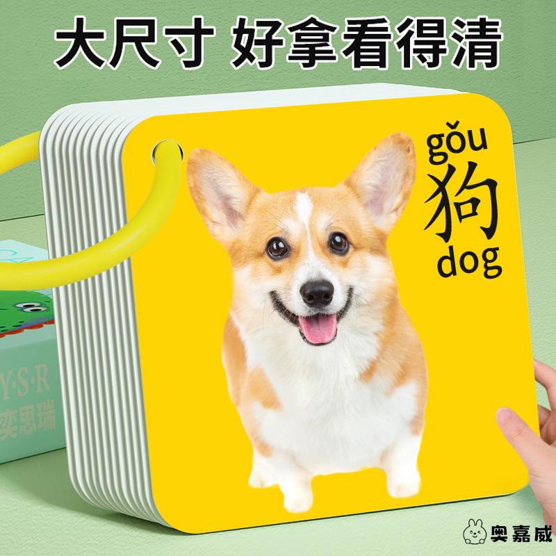 动物卡片早教认知启蒙书儿童识字宝宝看图识
