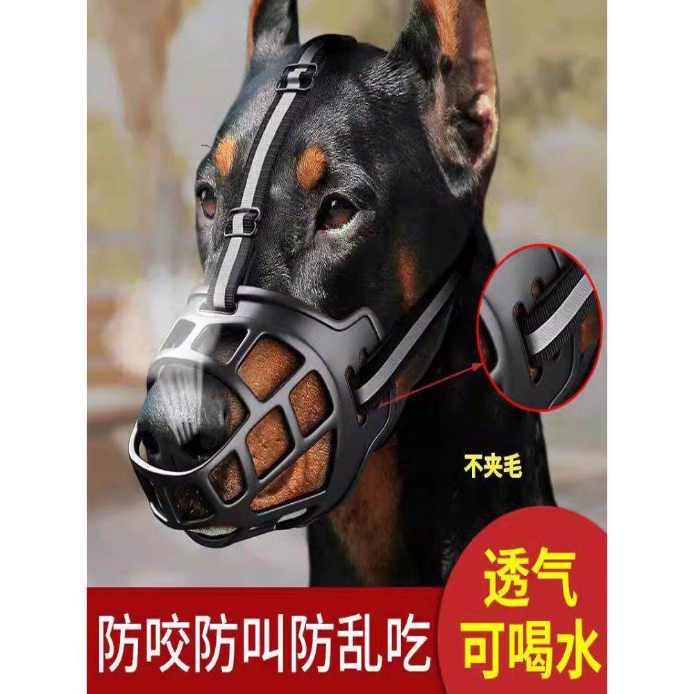 牵引绳自行车婴儿车滑板车通用图片