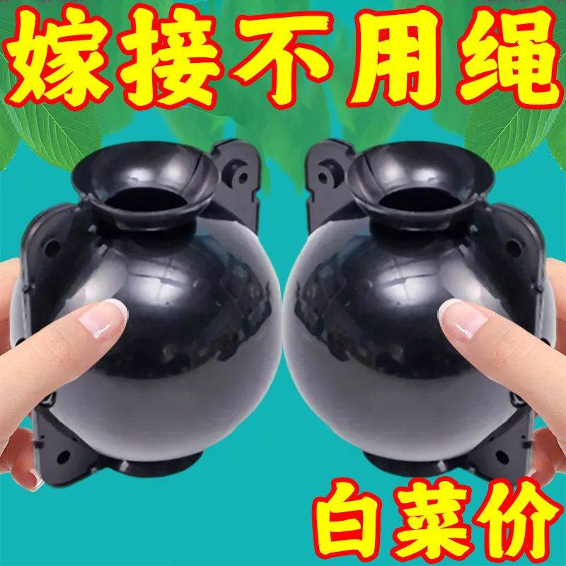 植物高压嫁接盒繁殖球生根包控根神器果树扦插育苗背枝园艺繁殖盒