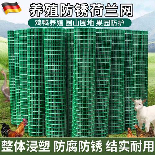 荷兰网铁丝小孔养殖网菜园防护网鸽兔笼网养鸡公路简易钢丝护栏网