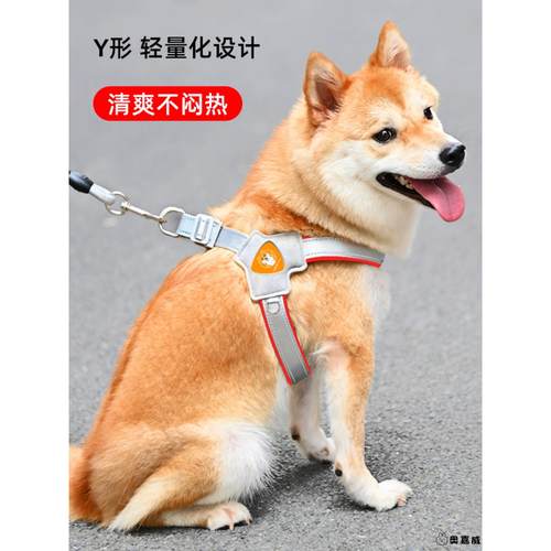 2025新款狗狗牵引绳胸背带背心式宠物遛狗绳