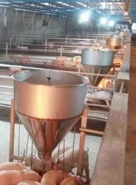 德国进口加厚不锈钢自动下料器大猪育肥母猪食槽小猪用双面料槽养