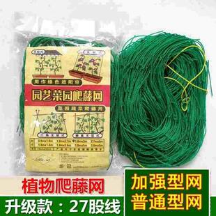 瓜豆攀爬网丝瓜园艺葡萄植物瓜果黄瓜百香果瓜架苦瓜种植爬藤网农
