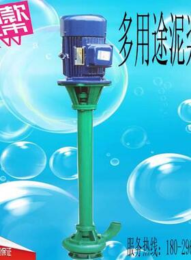 厂家直销NL100-16/15KW立式泥浆污水泥浆泵铸铁污水泵 4寸口径