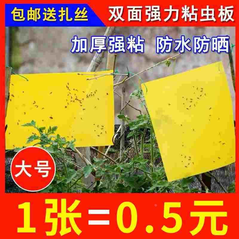 黄板双面粘虫板诱虫蓝板纸贴黄色飞虫小黑飞粘蝇诱捕器粘板,居家日用,书写板,淘宝优惠券,粉丝福利购,淘宝优惠卷