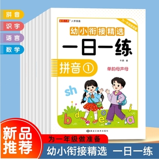 幼儿园学前班大班练习题一年级入学准备老师推荐 幼小衔接精选一日一练全套教材10册语言 识字 数学 同步教材标准整合基础训练 拼音