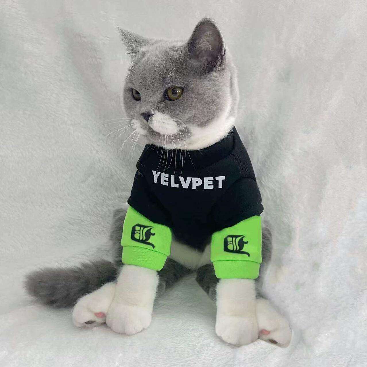 秋冬猫咪狗狗潮牌衣服布偶猫蓝猫防掉毛小型犬雪纳瑞宠物加绒满和