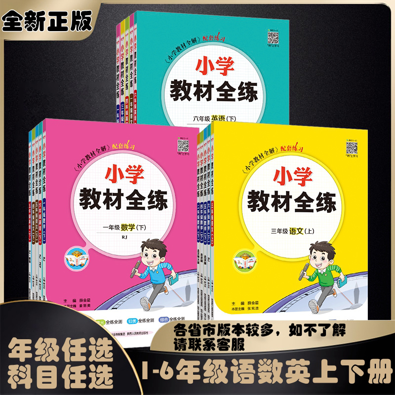 2024小学教材全练薛金星
