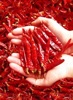 辣椒干辣椒特辣新辣椒干辣椒红辣椒四川辣椒魔鬼辣椒海椒干辣椒面