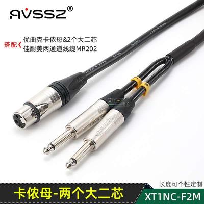 进口卡侬母转双大二芯2个6.35一分二6.5调音台音频线优曲克canare