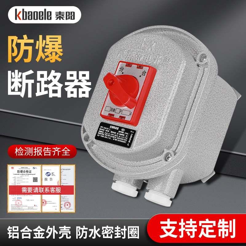 防爆断路器2P工业10A16A63A密封防水空气开关一体式铝合金控制盒