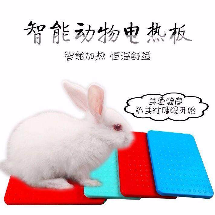 兔子电热板兔子保温板兔子产箱电热板兔用品兔用保温箱母兔产仔箱