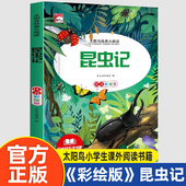 文学名著青少年儿童读物故事书 昆虫记法布尔正版 太阳鸟小学生课外阅读书籍三四五六年级世界经典