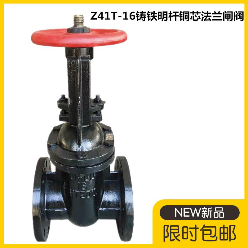 Z41T-16/10明杆法兰闸阀 铸铁铜芯闸板阀DN40 65 80 100 150 200