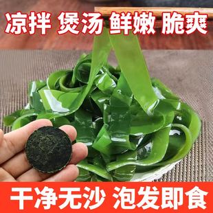 压缩干海带苗圆饼好泡发即食无沙免洗特嫩脆小海带干货凉拌裙带菜