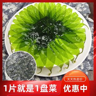 压缩海带苗圆饼泡发即食无沙免洗海带裙带菜凉拌煮汤干货特产批发