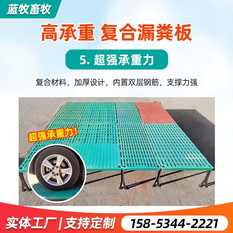 双体母猪c产床分娩床保育床养殖设备全复合猪用双体产保一体产床