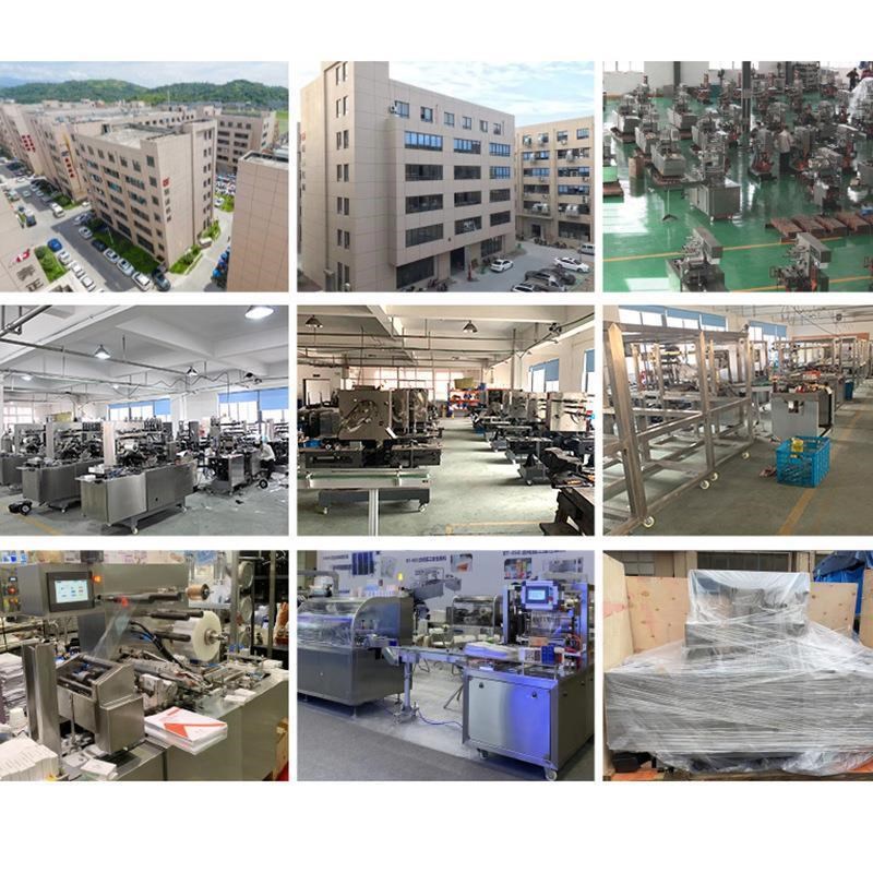 浙江加深400单室全自动真空E包装机尼龙袋铝箔袋封口机