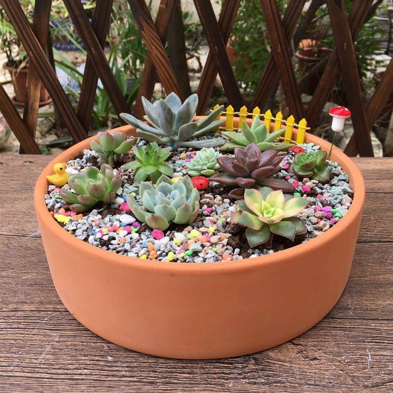 多肉花盆大口径组合红陶花盆拼盘陶土F素烧盆栽透气吸水园林有底