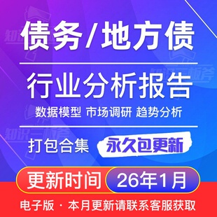 2025年中国地方政府债务 城投债 隐性债务 计算规模 风险防范 报告