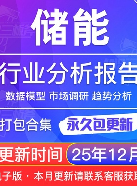 2025年中国充电储能电源锂电行业研究报告产业市场调研白皮书合集