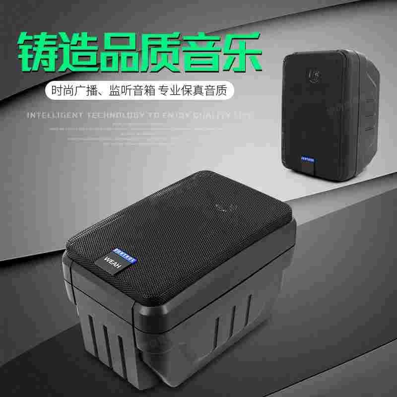原装正品WEAH音响HIFI无源音箱发烧监听会议挂墙家庭环绕音箱