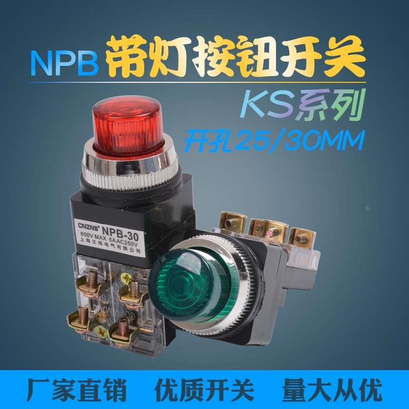 NPB-25/30带灯按钮 220V 自复位 一开一闭 KS系列开孔30mm 25mm