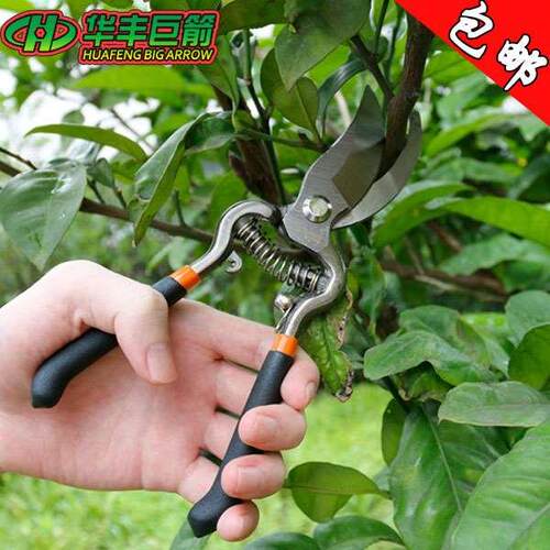 华丰巨箭园林剪刀 8寸10寸园艺剪刀 修技剪 摘果修剪树枝剪子