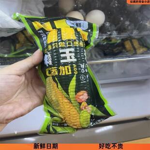 *&好货灶小美玉米新鲜糯玉米内蒙古黏玉米棒真空包装非东北即食/