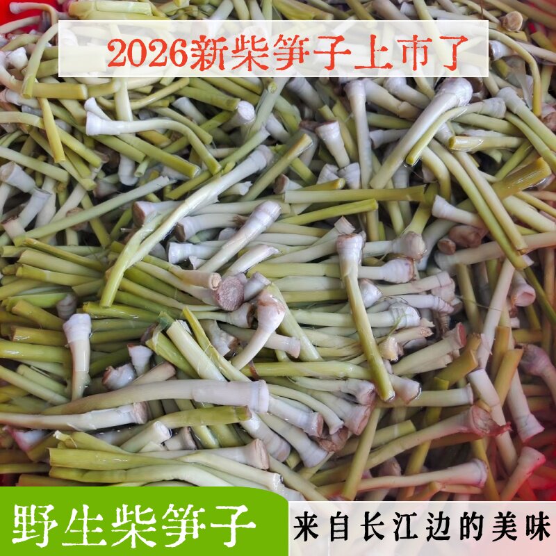 湖北特产石首监利华容菜财柴笋子野生芦苇笋酒店食材新鲜时令荻笋