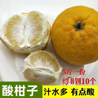 湖北荆州酸柑子泡柑抛柑子下火