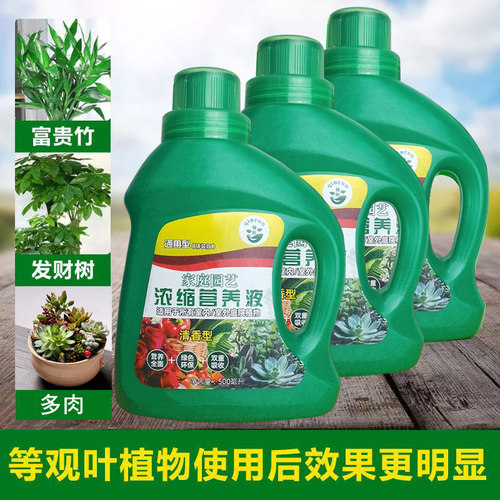 浓缩营养液水培植物专用绿萝富贵竹多肉植物