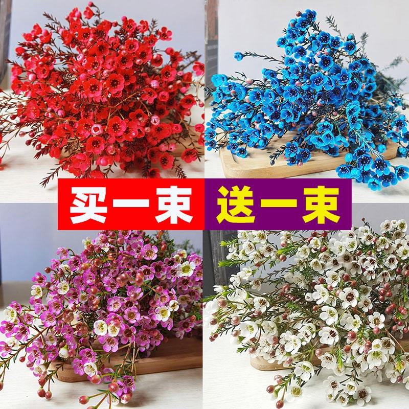 腊梅鲜花云南基地直发红色插水养耐寒鲜切花同城速递年宵花卉盆栽,鲜花速递/花卉仿真/绿植园艺,花材,淘宝优惠券,粉丝福利购,淘宝优惠卷